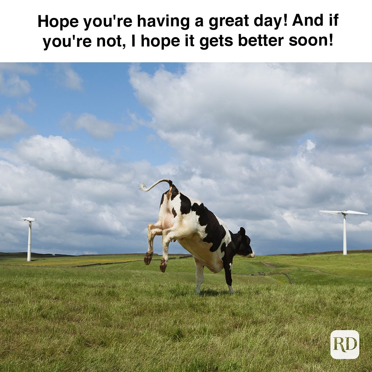 Hope You're Having A Great Day! And If You're Not, I Hope It Gets Better Soon