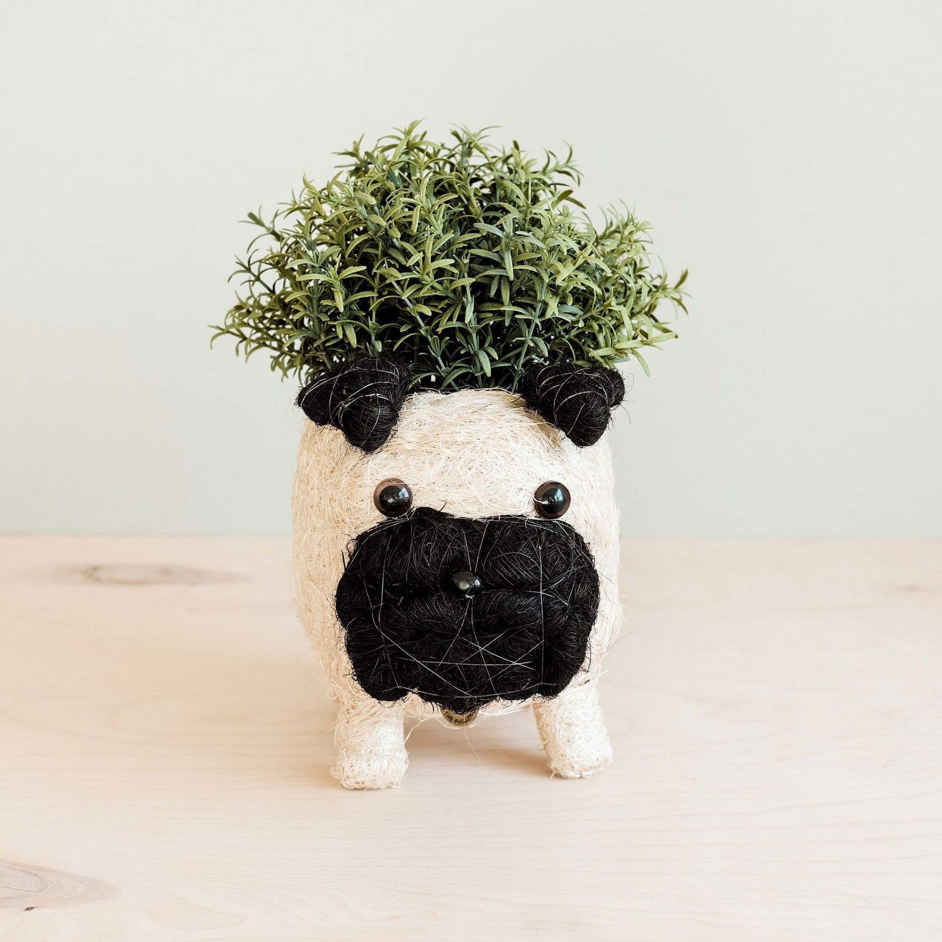 Likha Pug Planter Coco Coir Pots