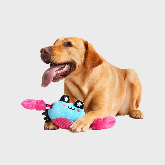 Barkbox Subscription Box