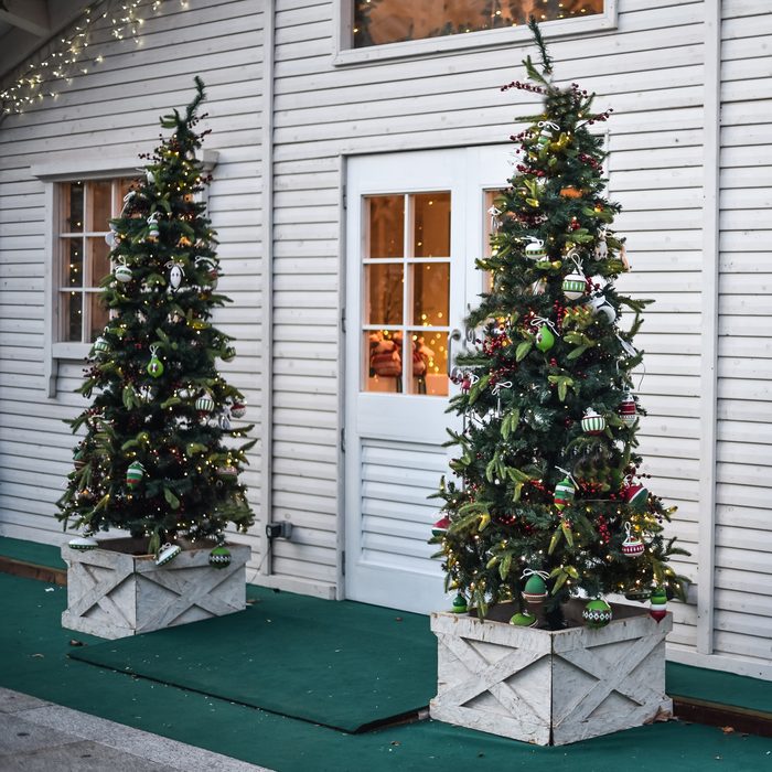 Display of a Christmas tree in a shop entrance