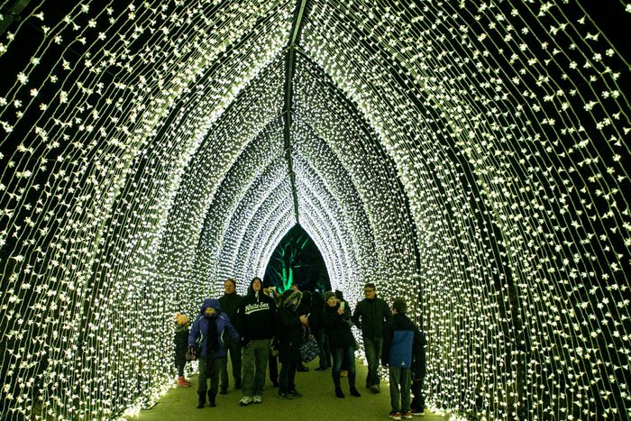 People enjoy a tunnel of light at the Lightscape exhibit at Chicago Botanic Garden in Glencoe, Illinois