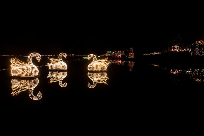 Bellingrath Gardens Christmas lights