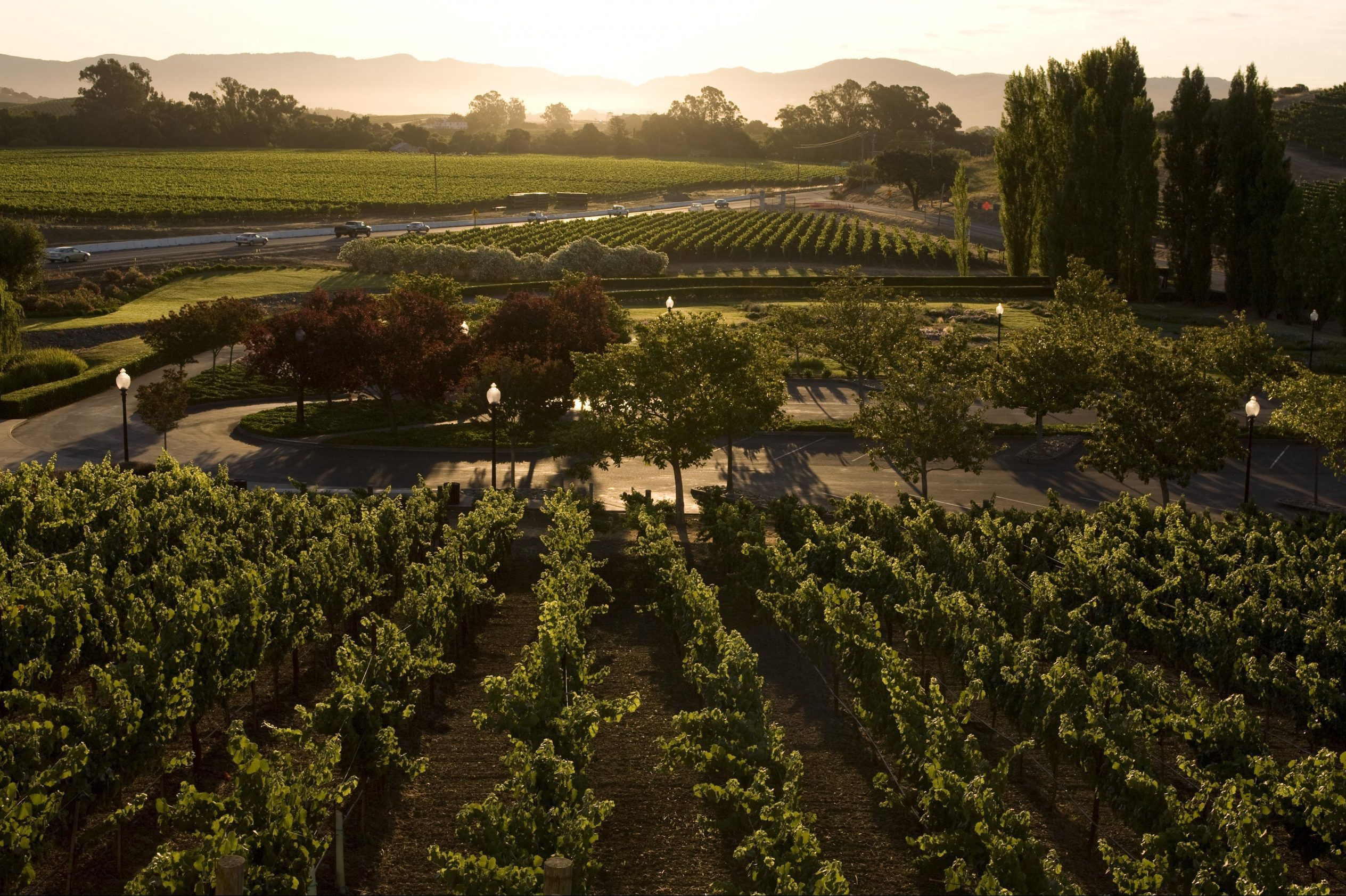 Destination: Napa Valley Wine Region