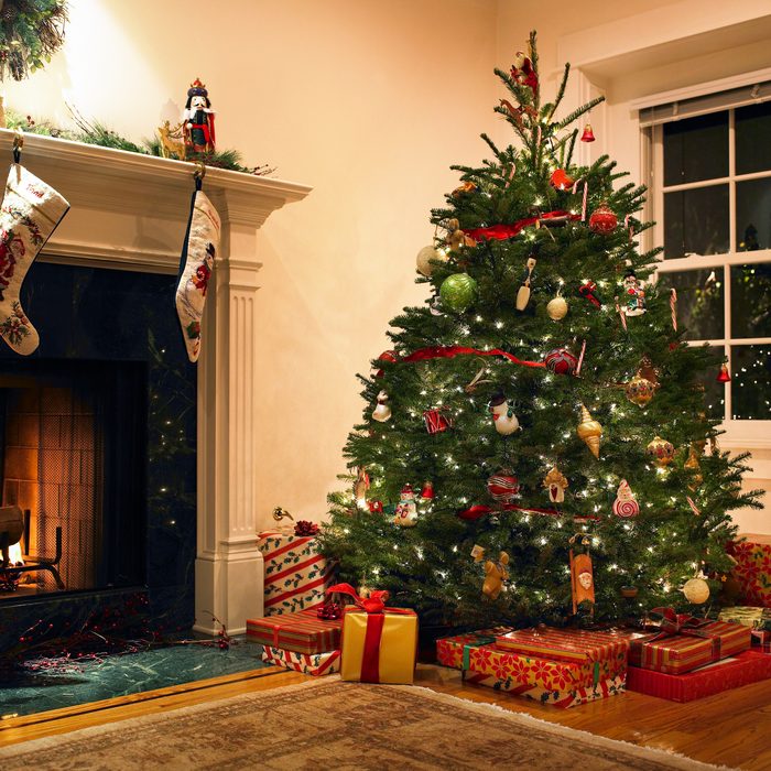 Christmas tree in living room