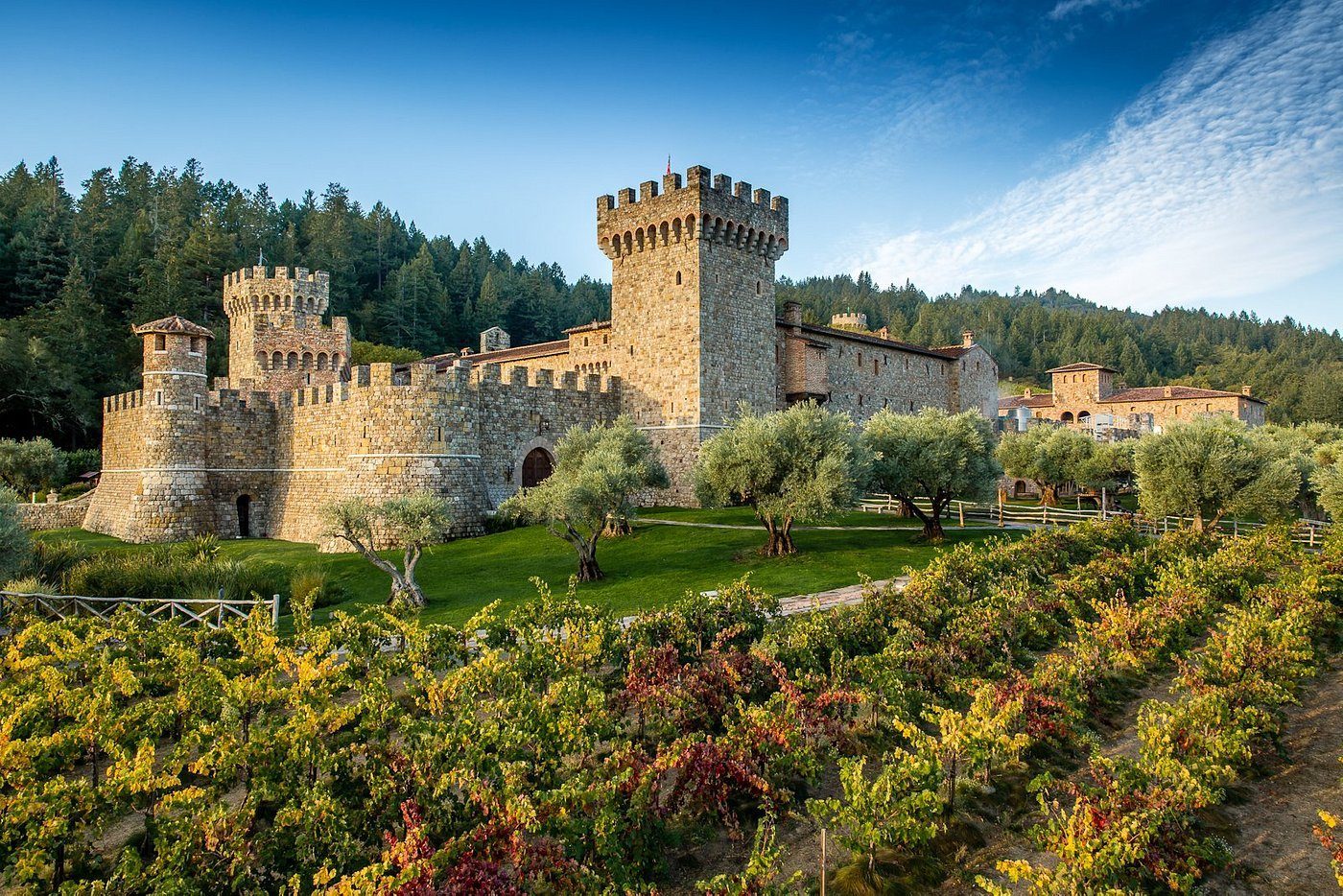 Castello Di Amorosa