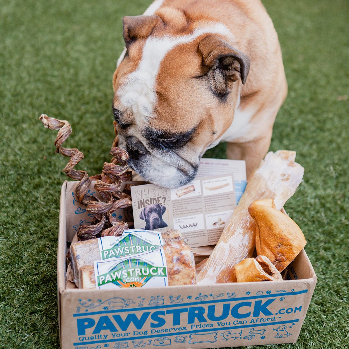 Pawstruck Box