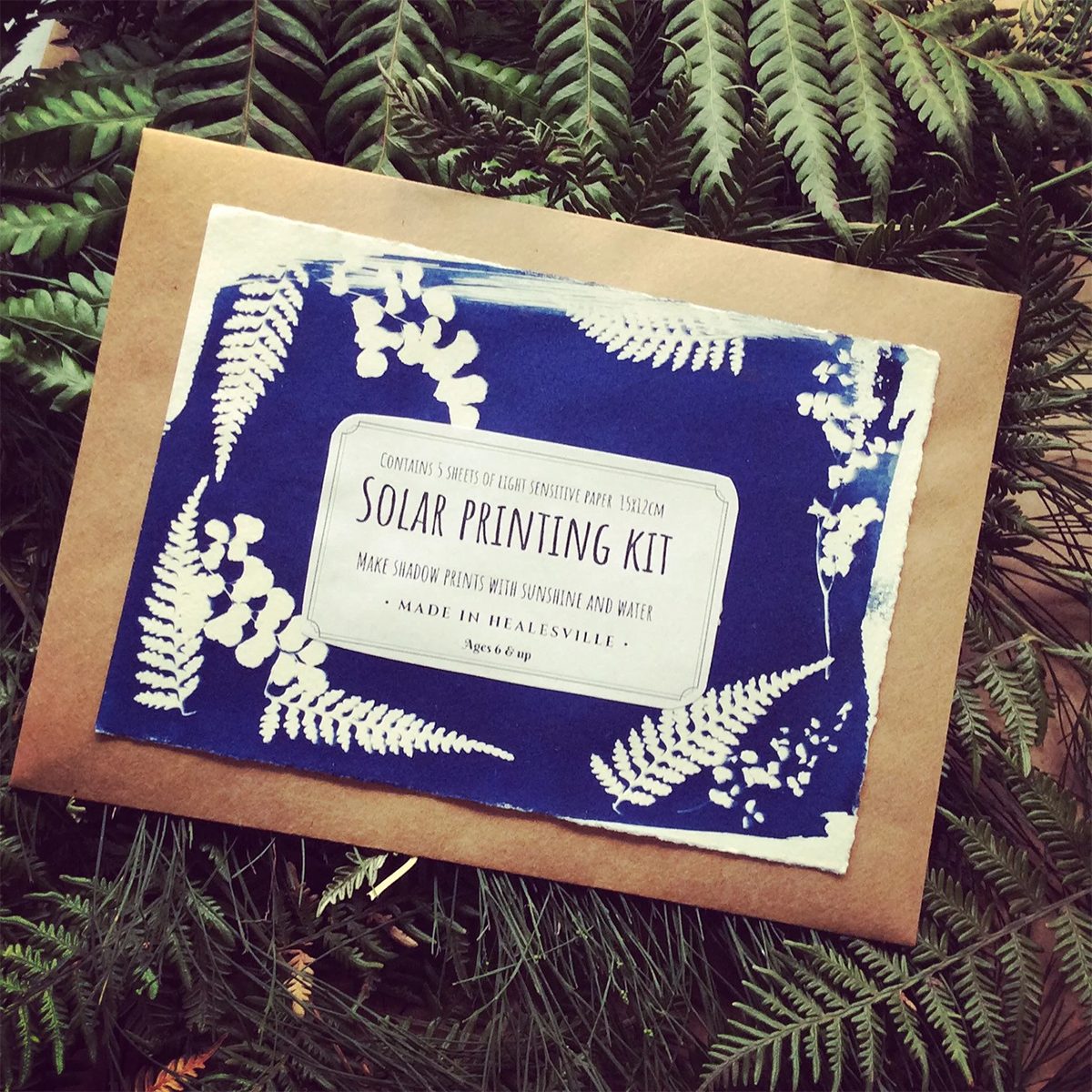 Cyanotype Paper, Diy Kit, Sun Printing Kit