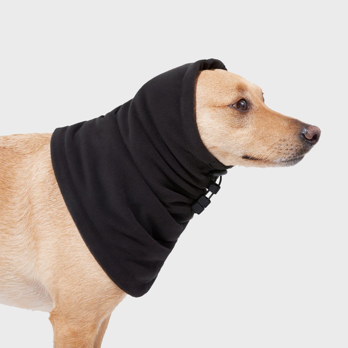Frisco Fleece Dog Snood Ecomm Via Chewy.com
