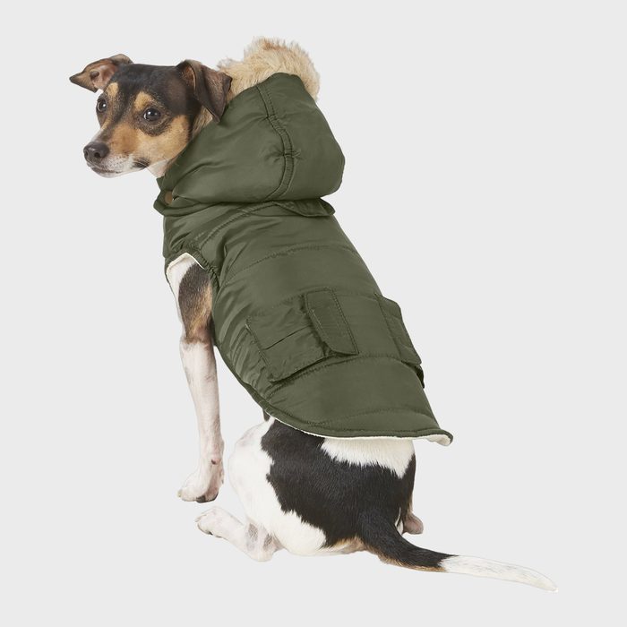 Frisco Mid Heavyweight Portland Insulated Dog Parka