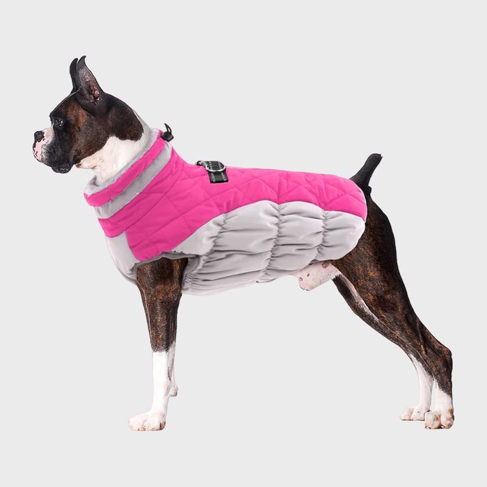 Lelepet Reflective Dog Winter Coat