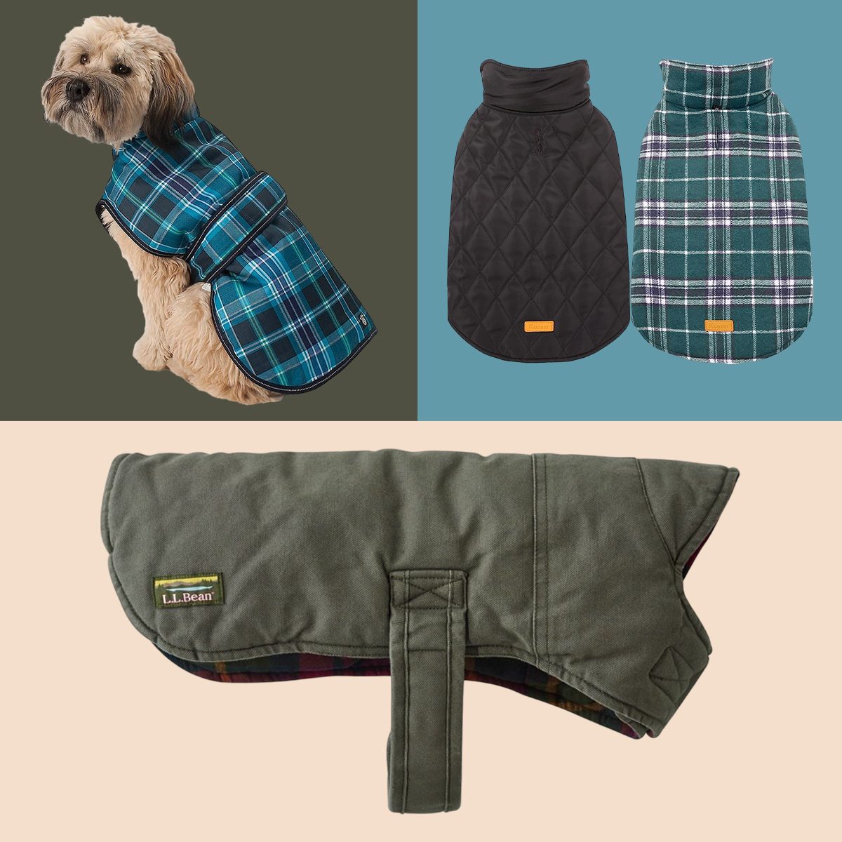 The 10 Best Dog Winter Coats to Keep Your Pup Toasty on Chilly Walks