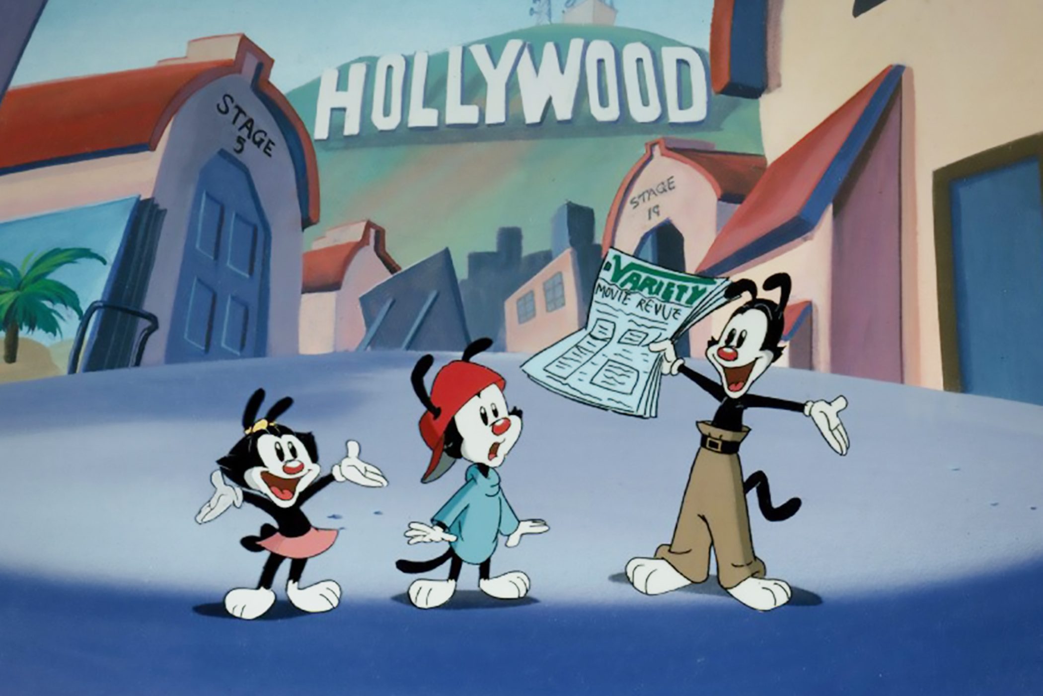 Animaniacs Cartoon