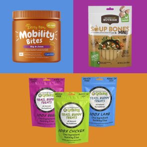 Best Dog Treats color block collage