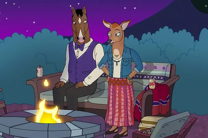 Bojack Horseman Cartoon