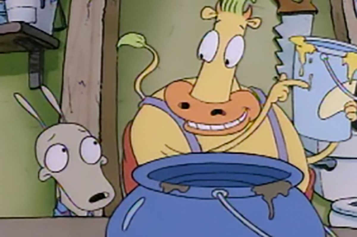 Rockos Modern Life Cartoon