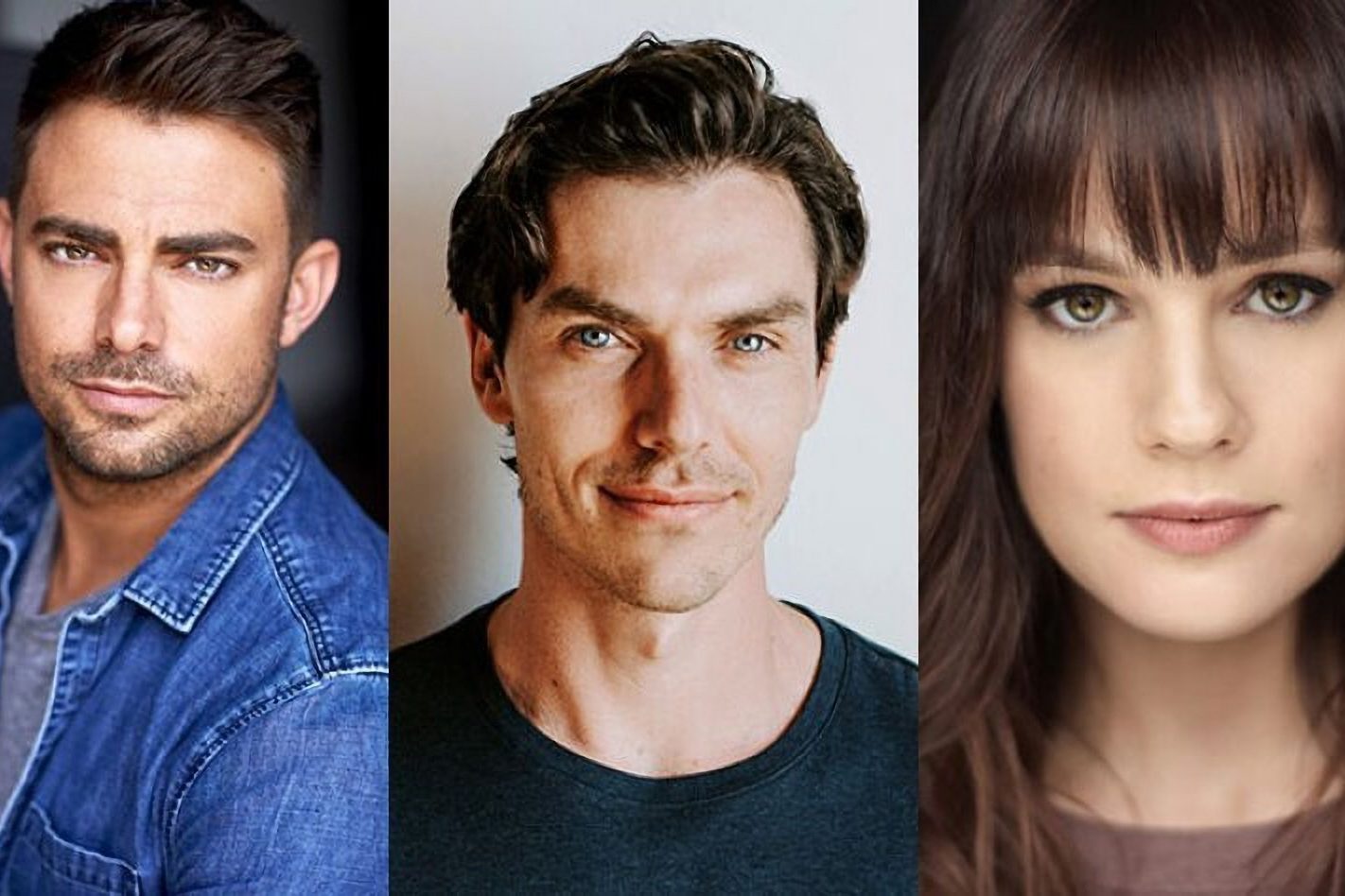 The Holiday Sitter Movie Stars