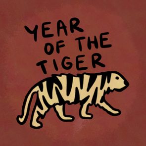 Year Of The Tiger