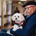 8 Types of Service Dogs That Aid People in Need