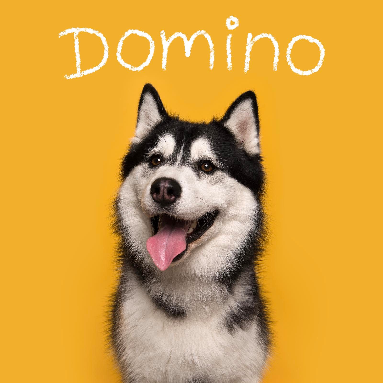 Unique dog name handwritten over an image of a dog