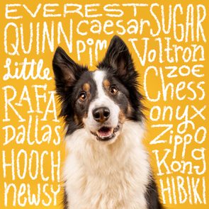 Unique dog names handwritten over an image of a dog
