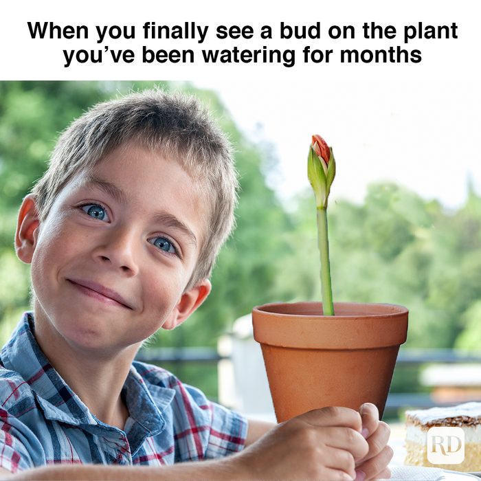 When You Finally See A Bud On The Plant You’ve Been Watering For Months