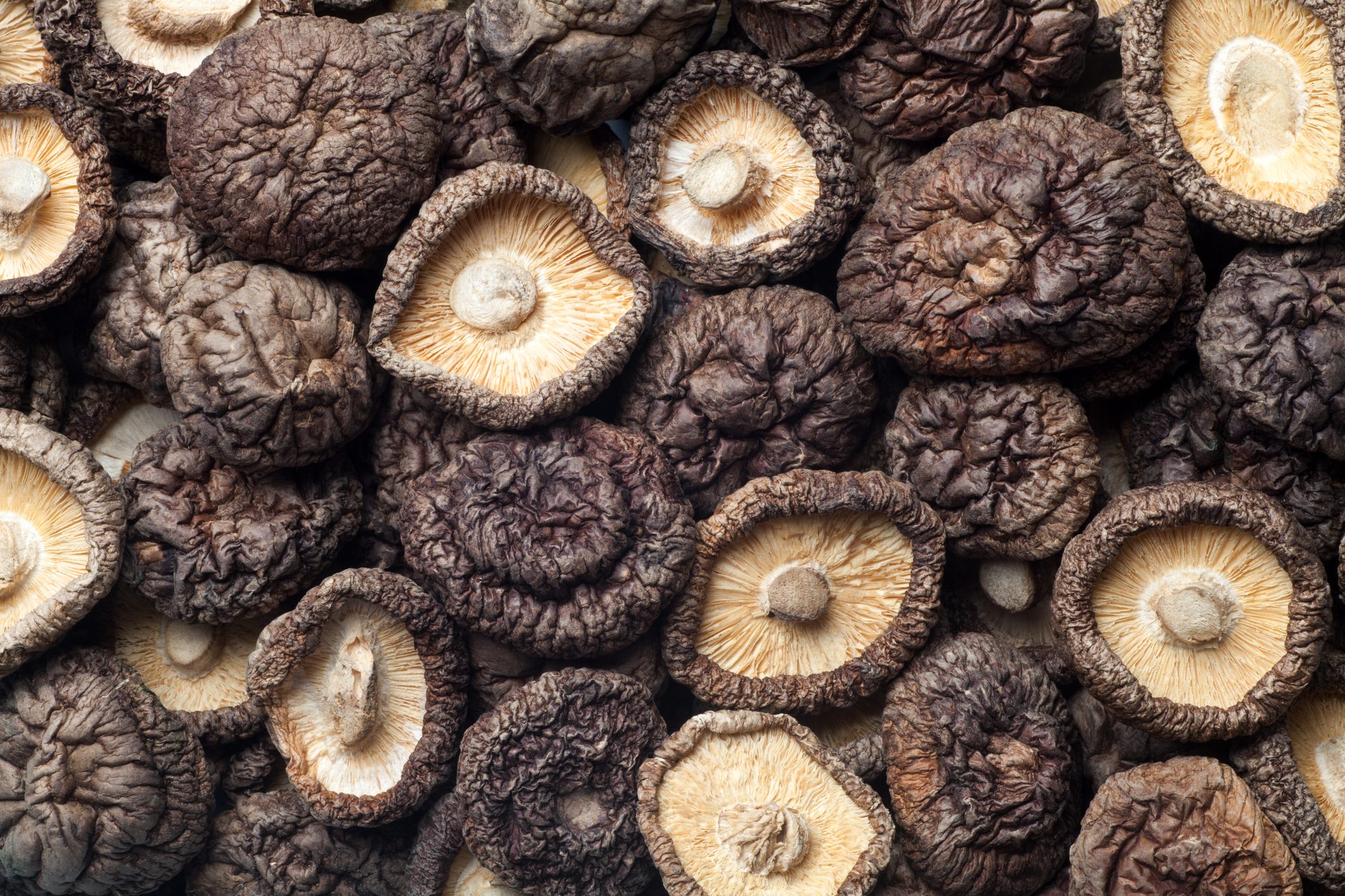 lots of dried shiitake mushrooms full frame close up