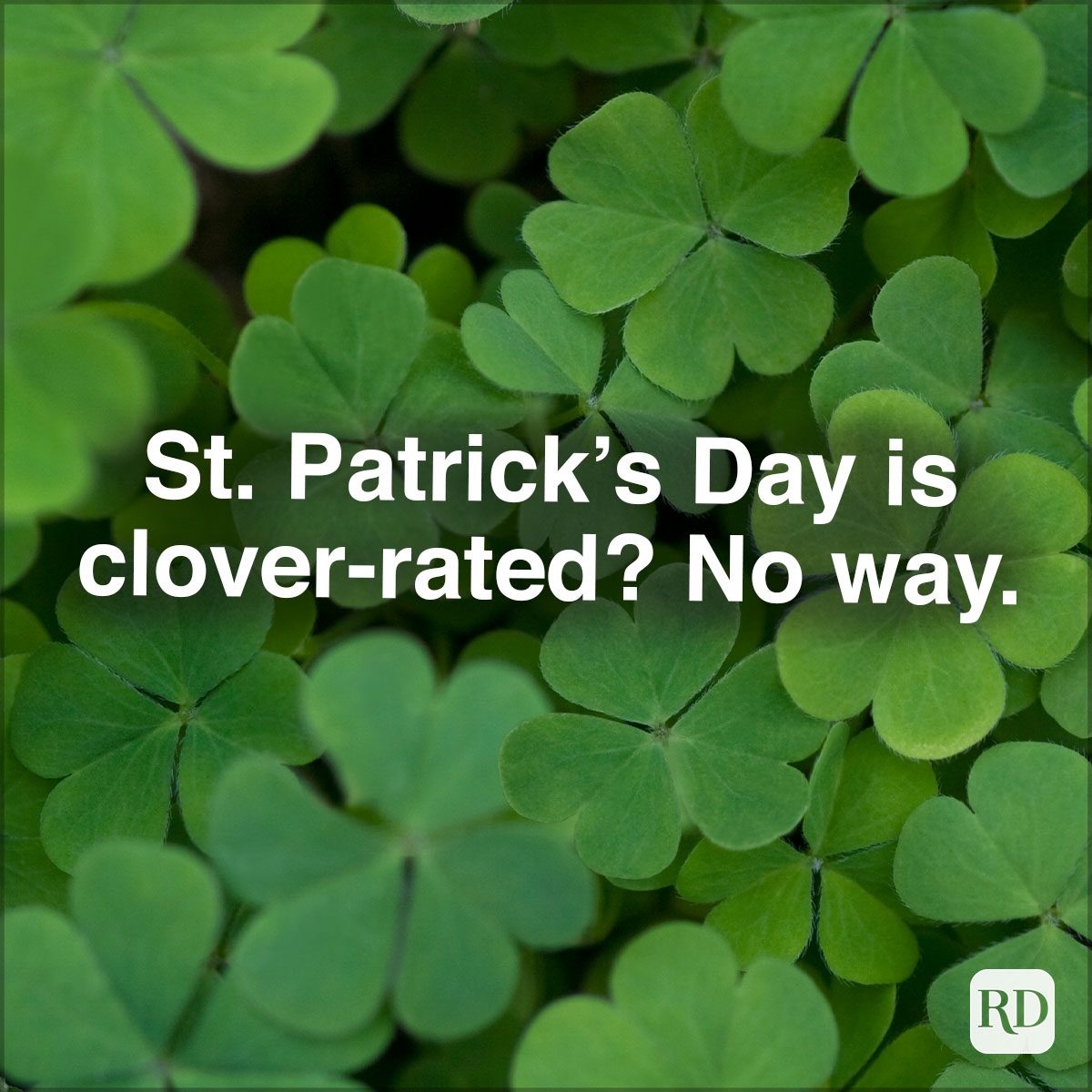 St. Patrick’s Day Is Clover Rated No Way. 