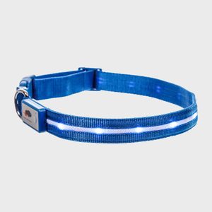 Blazin Safety Led Dog Collar Ecomm Via Amazon
