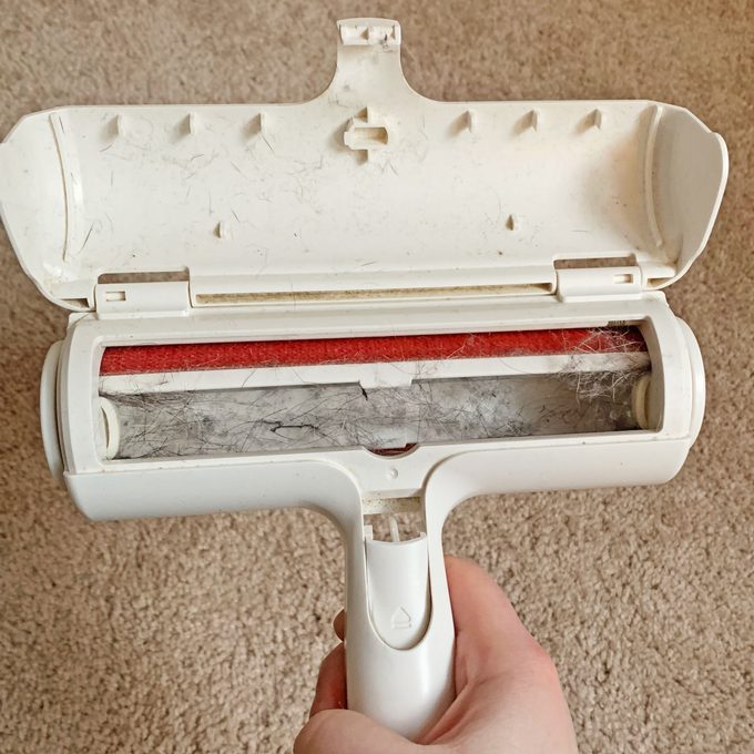 Chom Chom Roller carpet