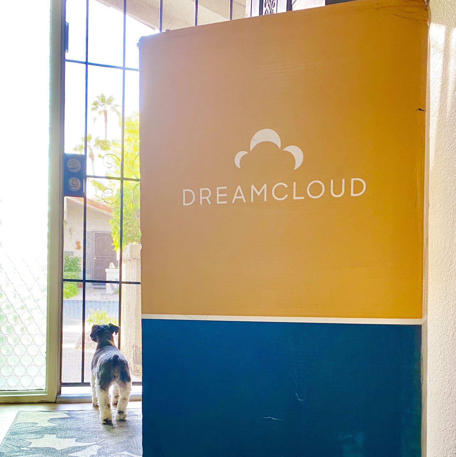 Dreamcloud Mattress Box