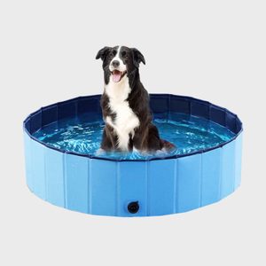 Jasonwell Foldable Dog Pet Bath Pool Ecomm Via Amazon