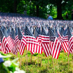 Many Mini American Flags On The Lawn Of Boston Common Park On Memorial Day