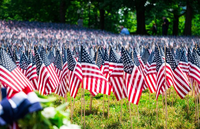 Many Mini American Flags On The Lawn Of Boston Common Park On Memorial Day