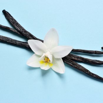 Vanilla beans