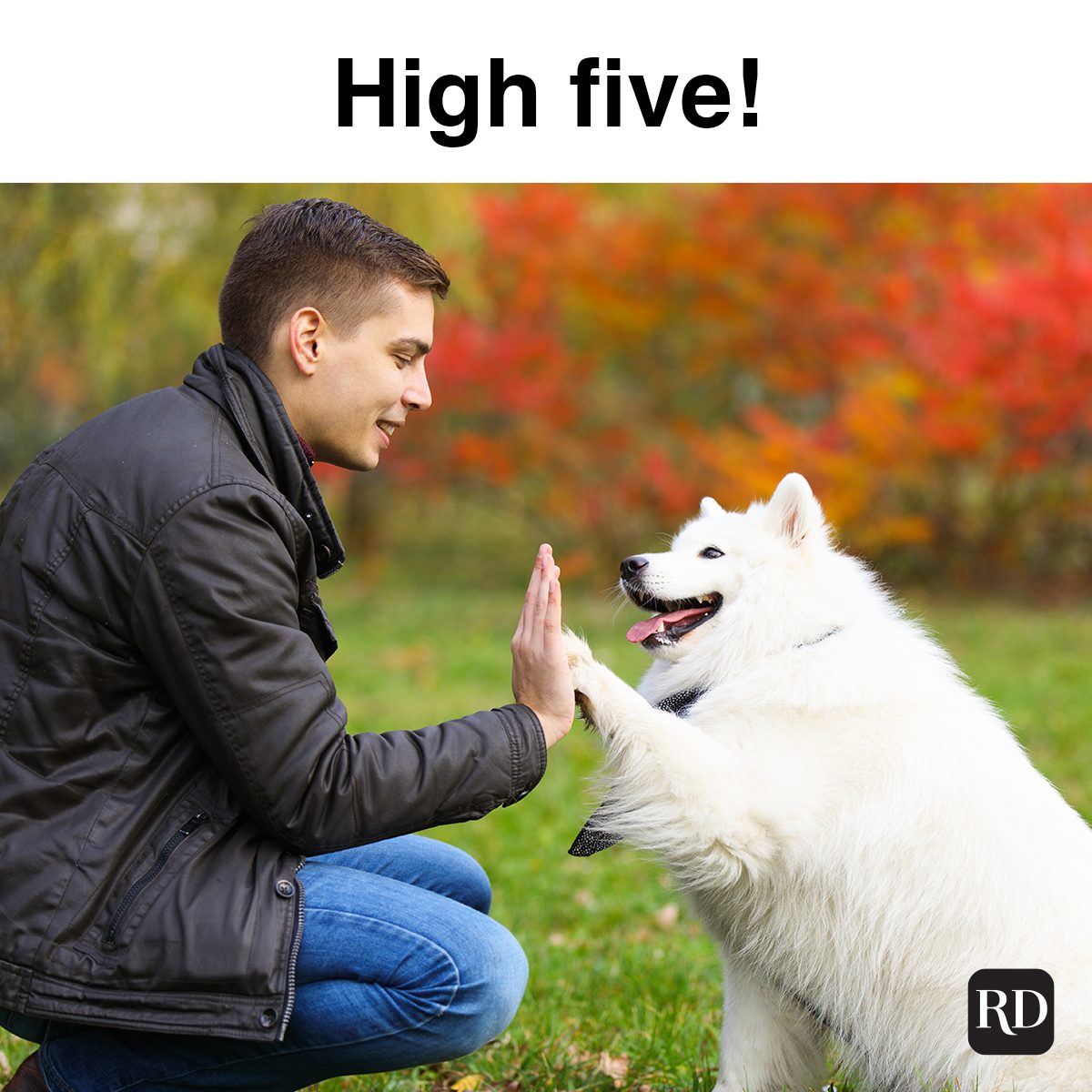 High Five 624898502