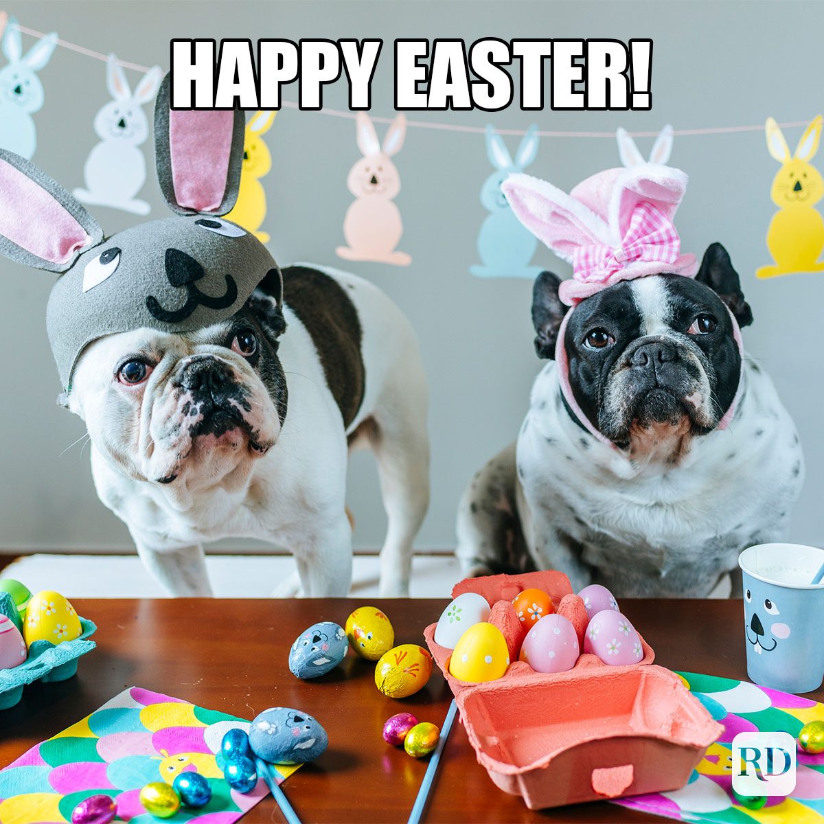 35 Hilarious Easter Memes That Will Make Any-Bunny Laugh Text: Happy Easter!