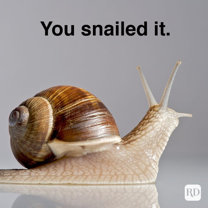 You Snailed It 103046856