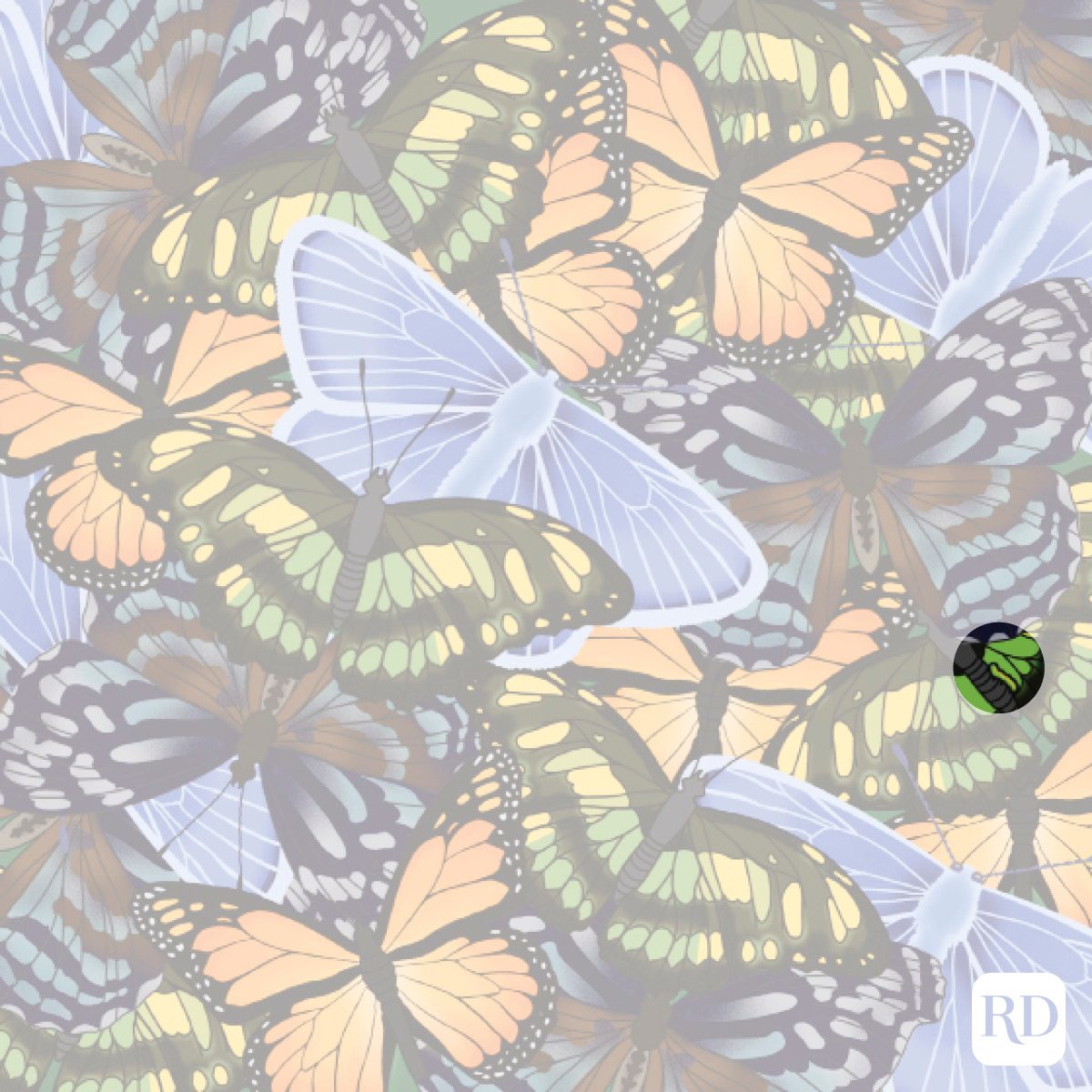 Find The Hidden Caterpillar Among The Butterflies Illustration Answer Key