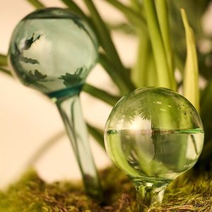 Anthropologie Self Watering Plant Globes