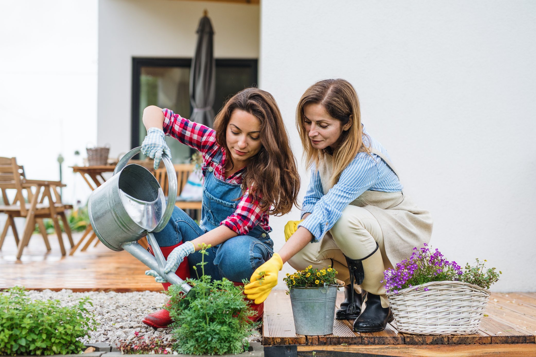 Front view portrait of mature mother with adult daughter outdoors at home, gardening.