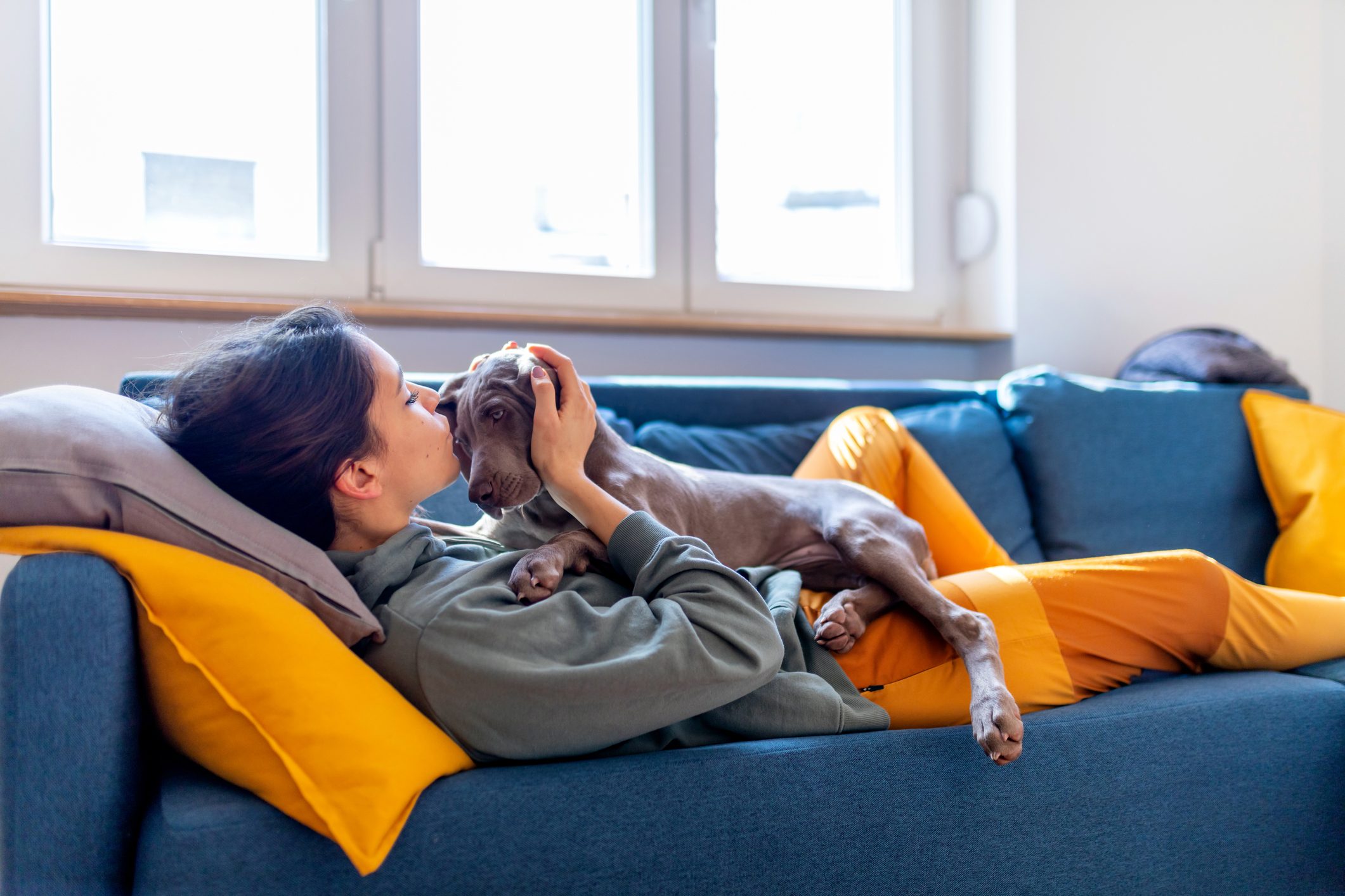 Young woman holding her Weimar puppy and kissing it