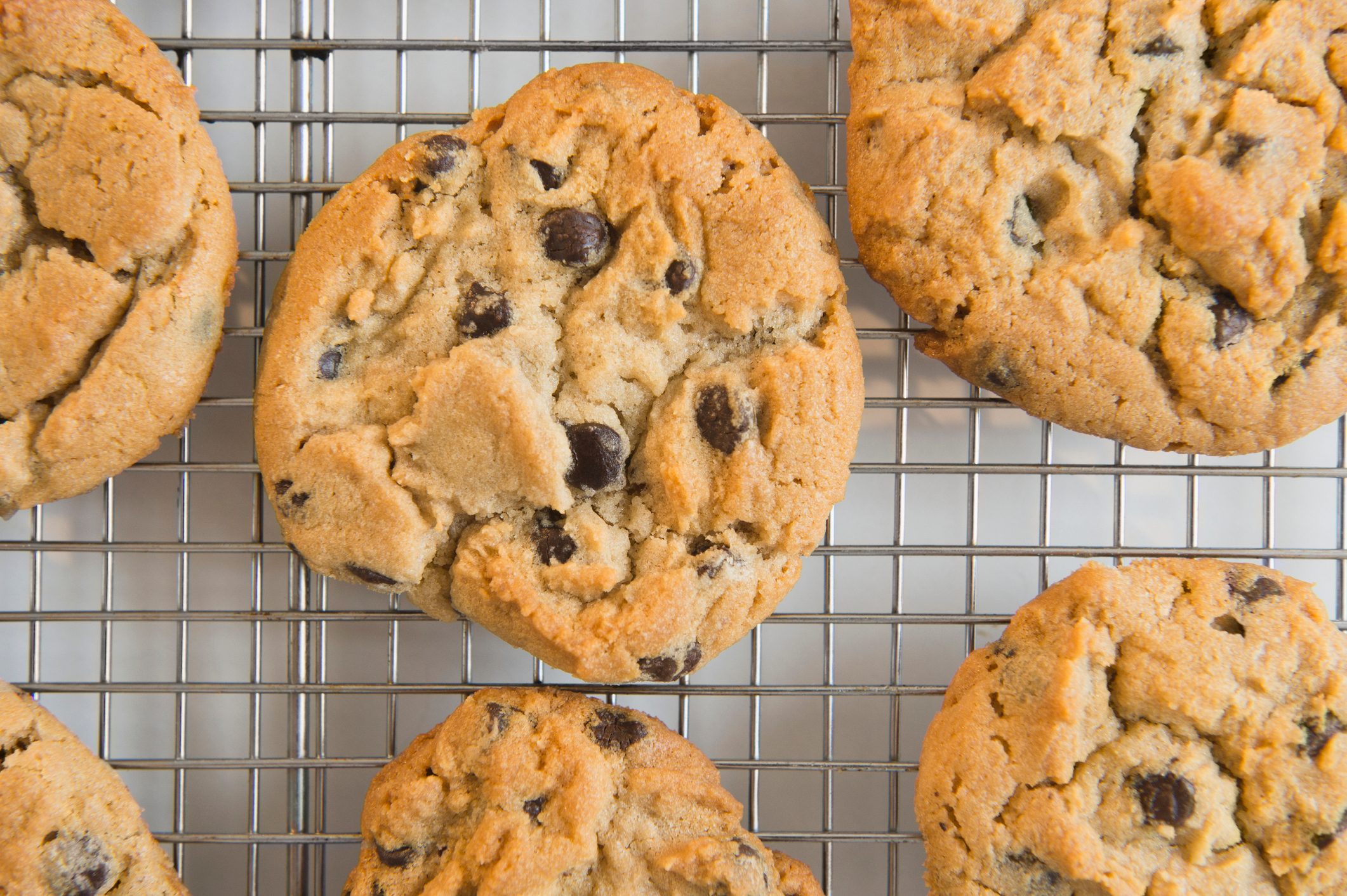 Studio shot of chocolate chip cookies