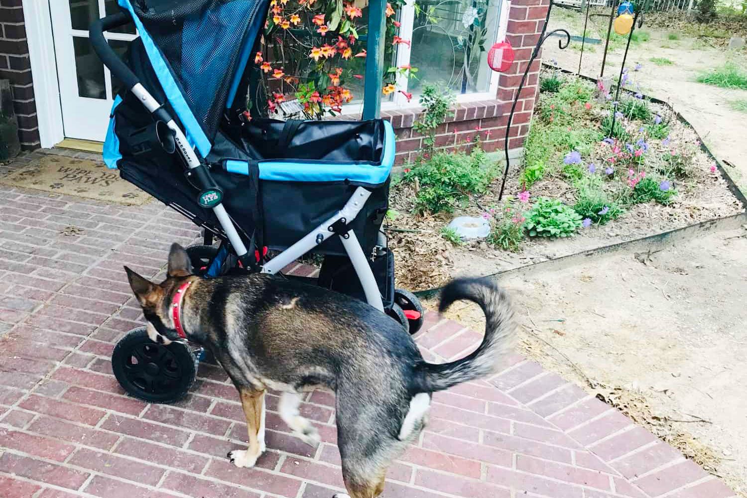 pet stroller