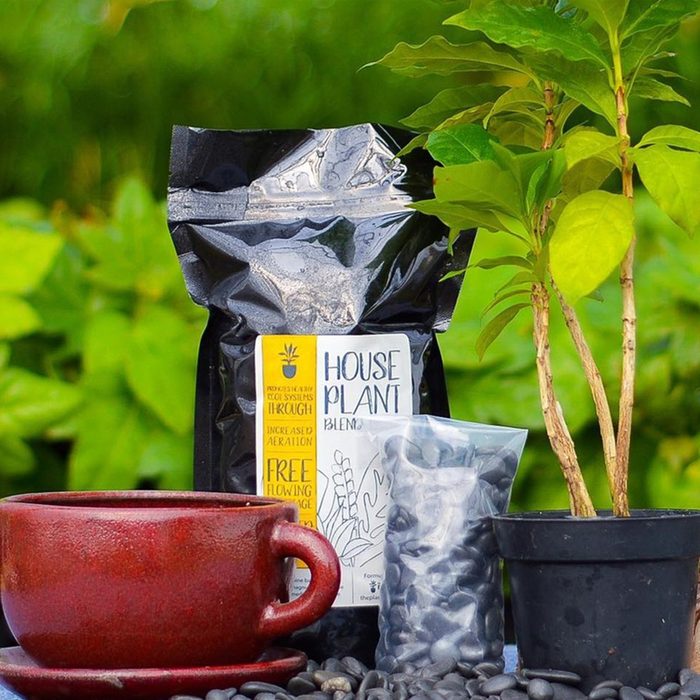 Cratejoy My Garden Box Subscription