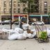 "Trash Walker" Anna Sacks Finds Treasure in New York City's Garbage