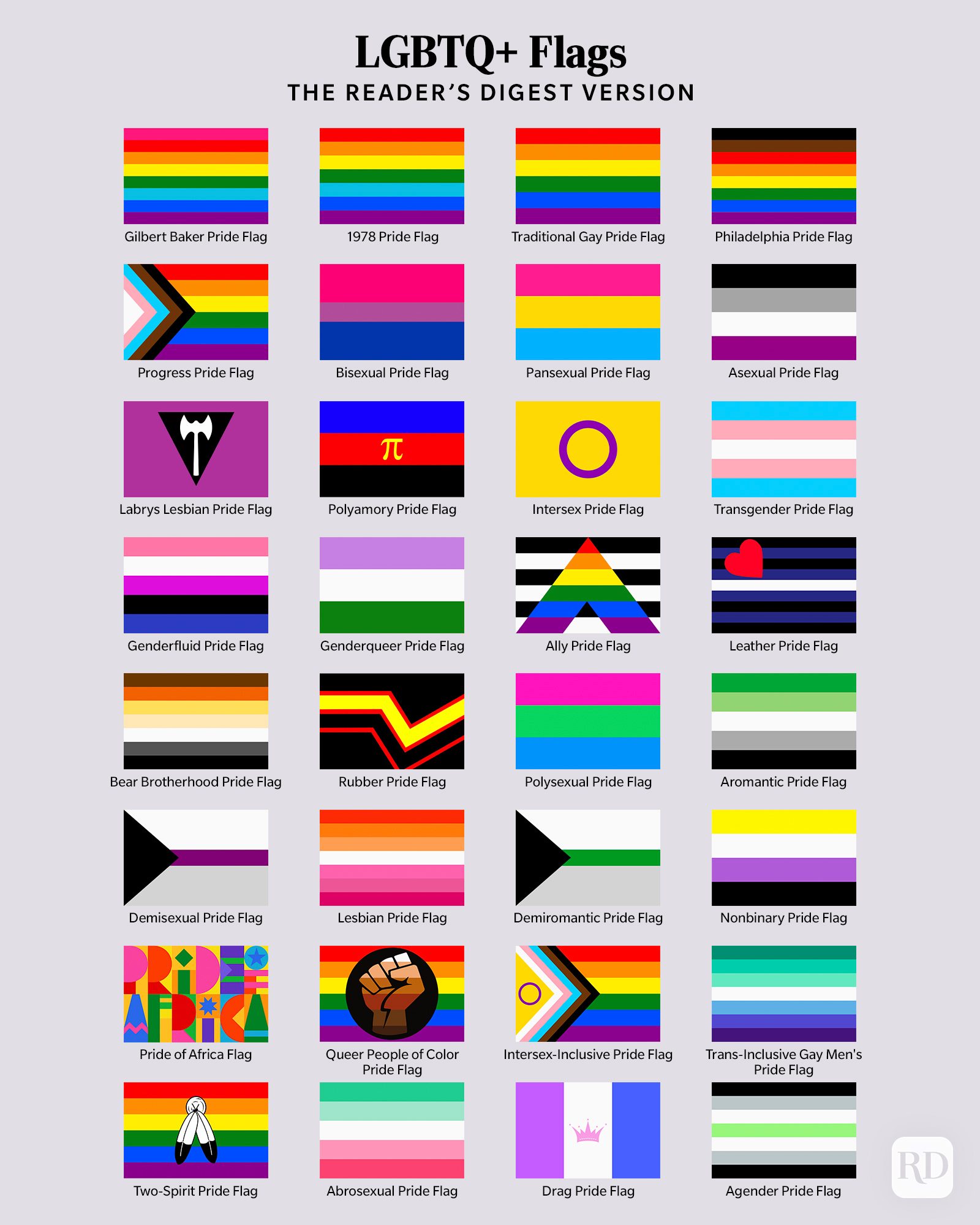 Infographic showing 32 LGBTQ+ pride flags and their meanings