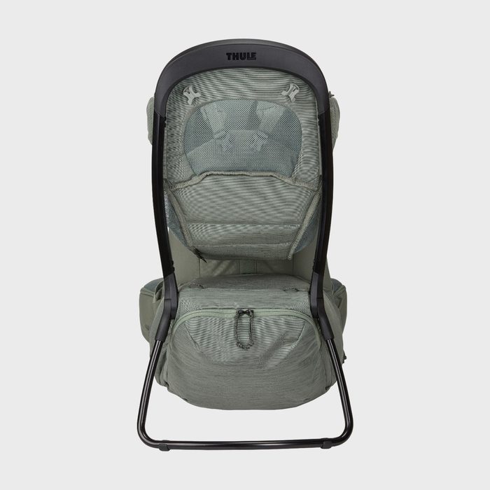 Thule Sapling Child Carrier