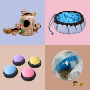 four brain games for dogs in separate quadrants
