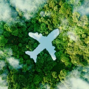 A lake in the shape of an airplane in the middle of untouched nature