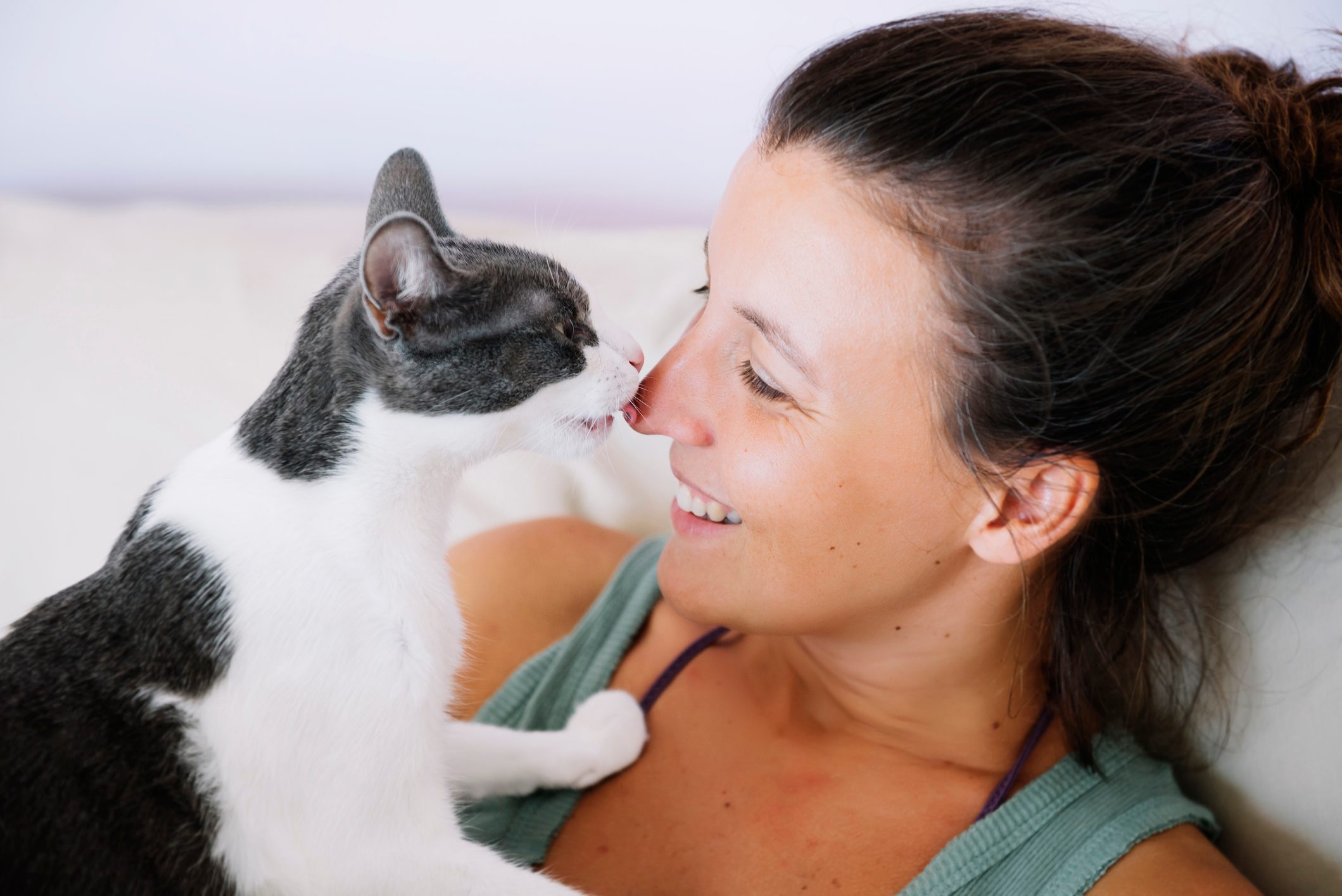 Why Do Cats Lick You? Experts Offer 4 Possible Reasons